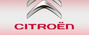 Auto-Motor